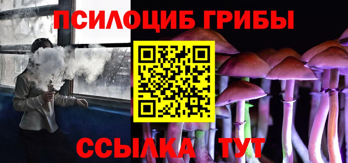 Псилоцибиновые грибы Psilocybe Белогорск